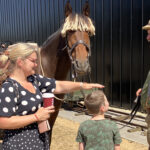 Horses & Wagons - The Heroes of WW1